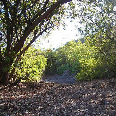 Las Lomitas De Guayacan, Cabanas Y Spa San José de Maipo Eksteriør billede