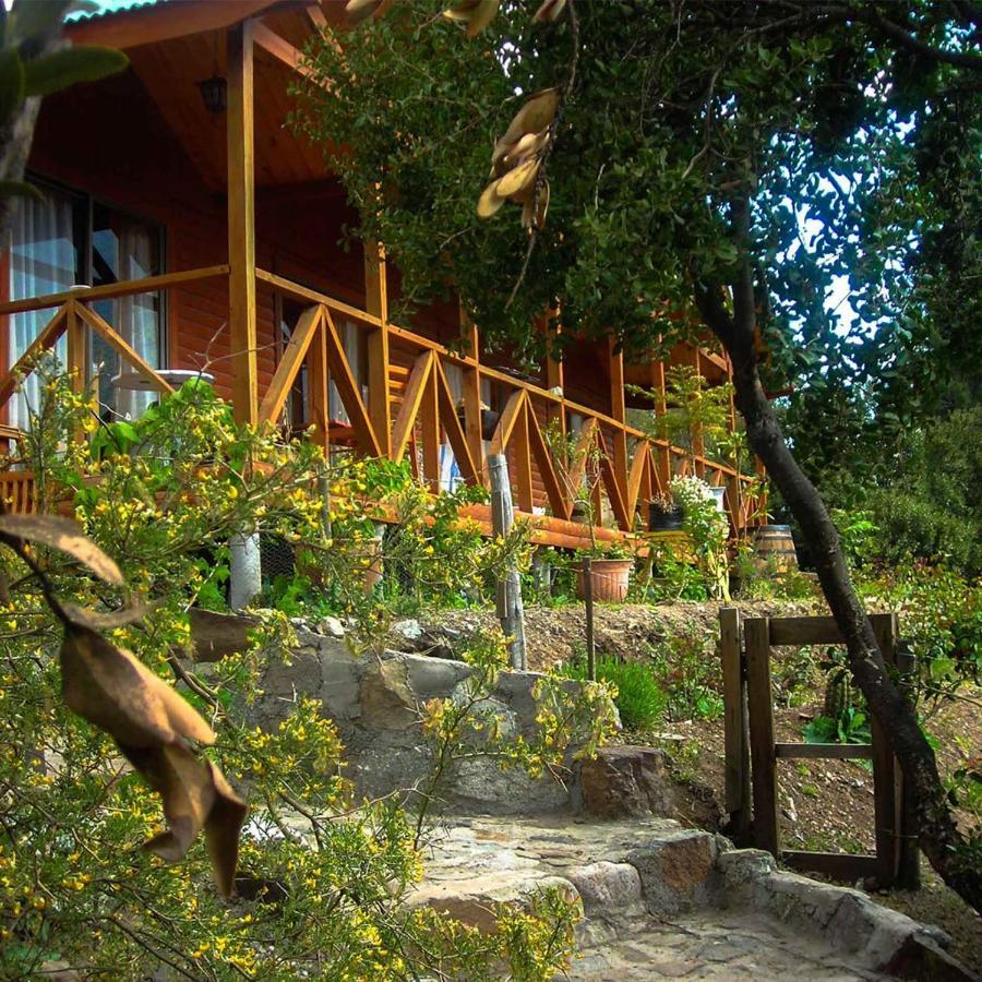 Las Lomitas De Guayacan, Cabanas Y Spa San José de Maipo Eksteriør billede