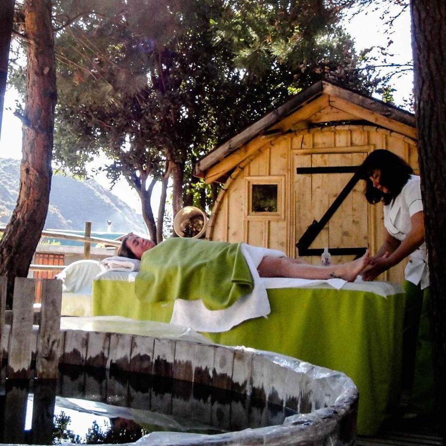 Las Lomitas De Guayacan, Cabanas Y Spa San José de Maipo Eksteriør billede