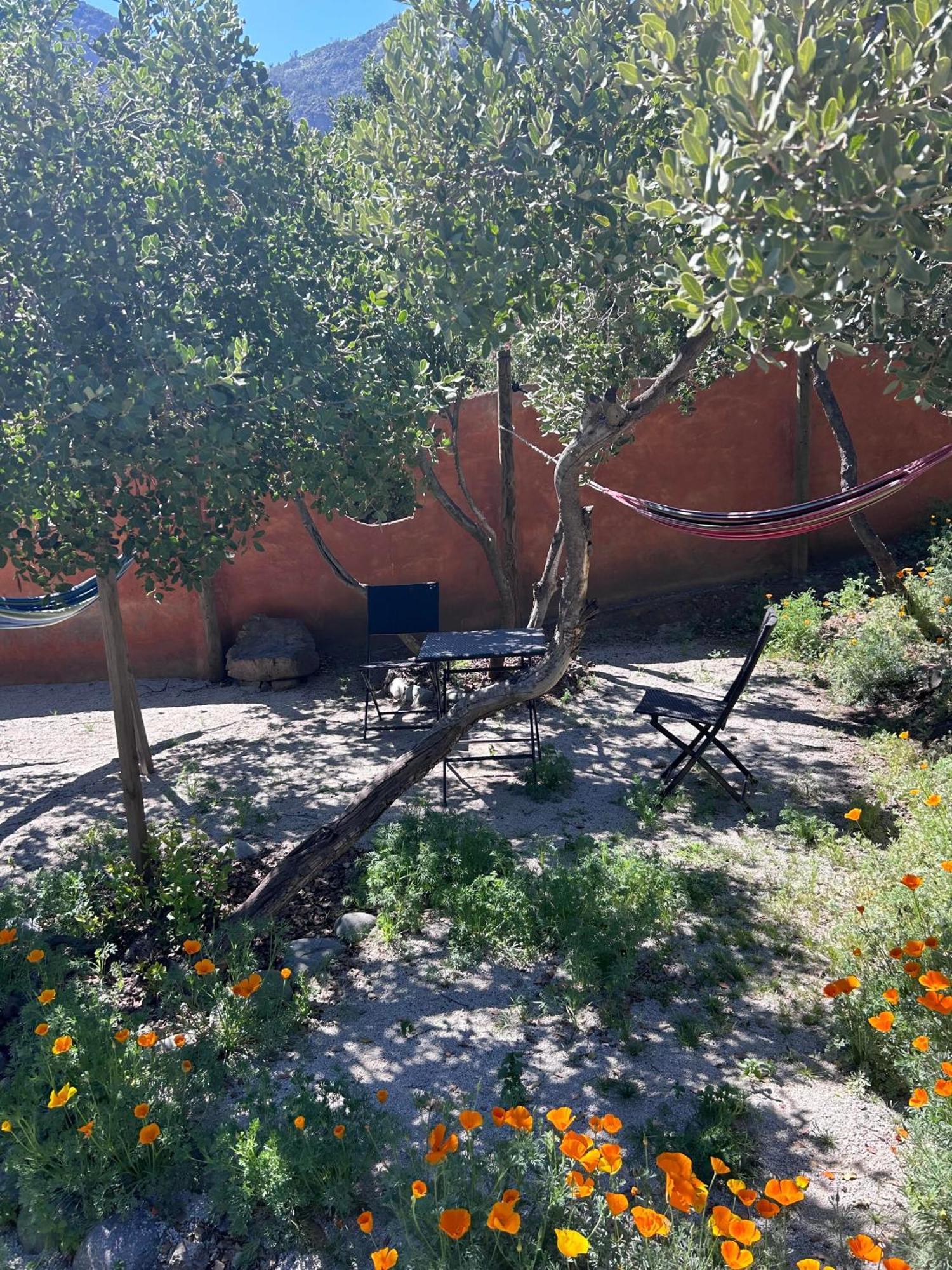 Las Lomitas De Guayacan, Cabanas Y Spa San José de Maipo Eksteriør billede