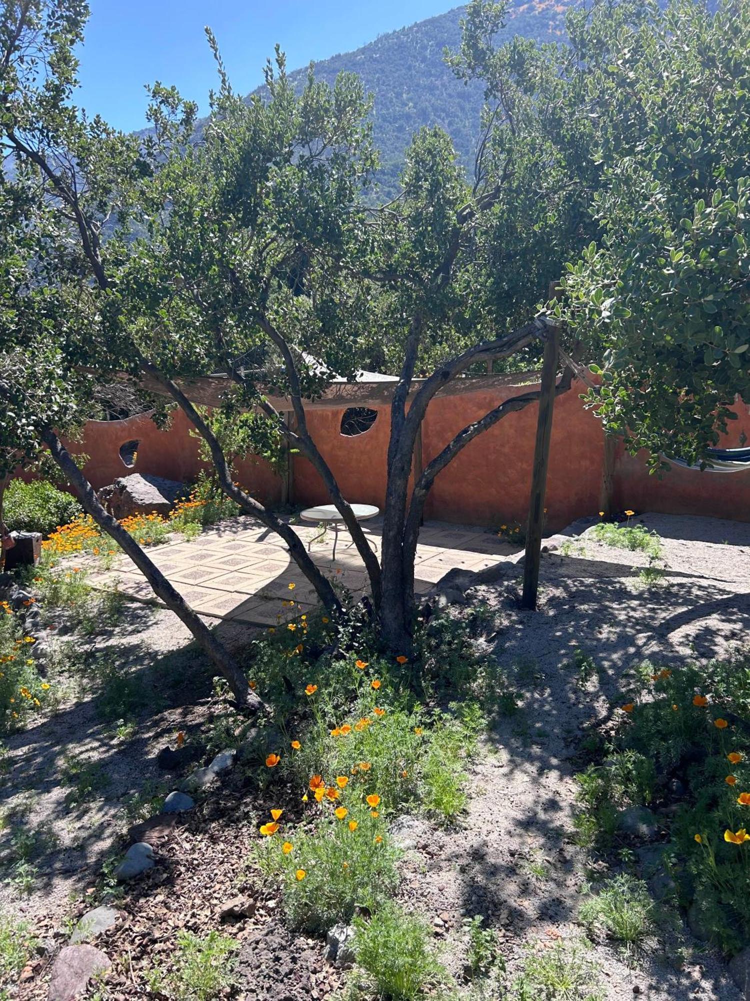 Las Lomitas De Guayacan, Cabanas Y Spa San José de Maipo Eksteriør billede